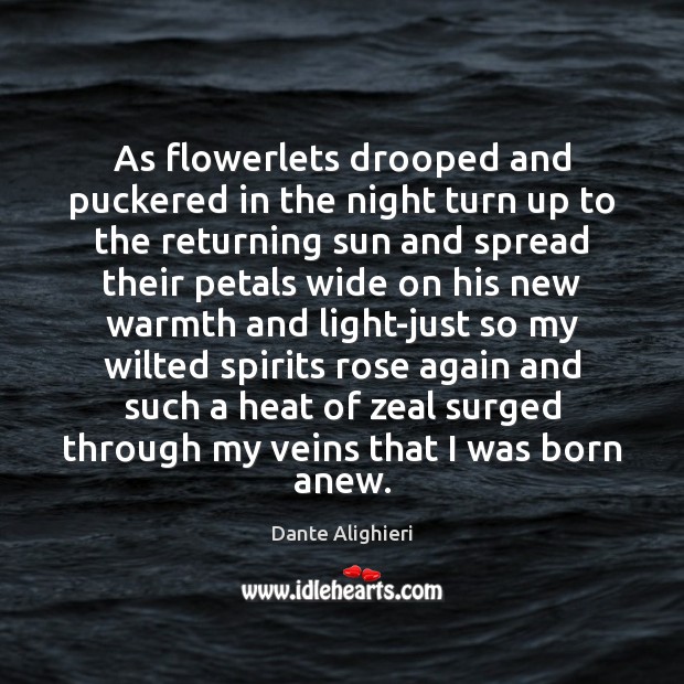 As flowerlets drooped and puckered in the night turn up to the Dante Alighieri Picture Quote