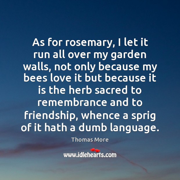 As for rosemary, I let it run all over my garden walls, Image