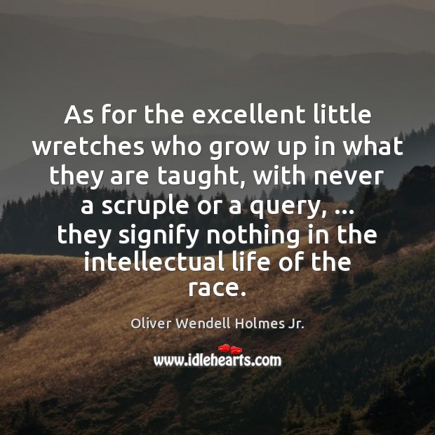 As for the excellent little wretches who grow up in what they Oliver Wendell Holmes Jr. Picture Quote