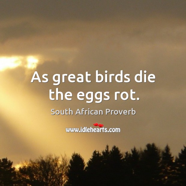 As great birds die the eggs rot. South African Proverbs Image