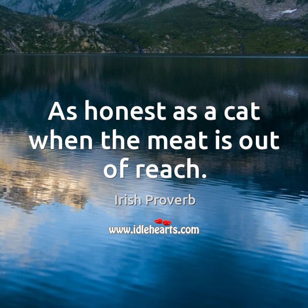 As honest as a cat when the meat is out of reach. Image