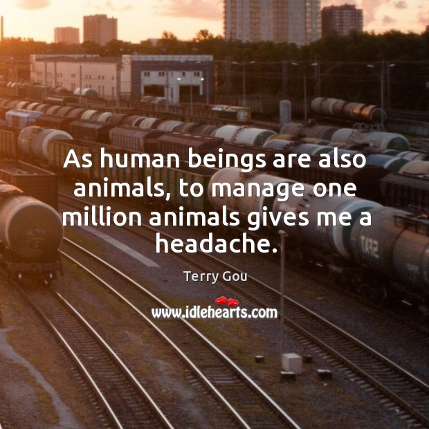 As human beings are also animals, to manage one million animals gives me a headache. Terry Gou Picture Quote