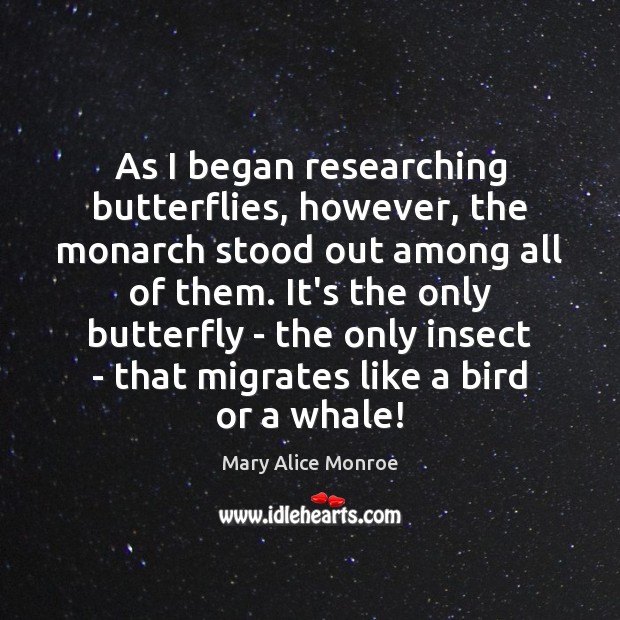 As I began researching butterflies, however, the monarch stood out among all Mary Alice Monroe Picture Quote