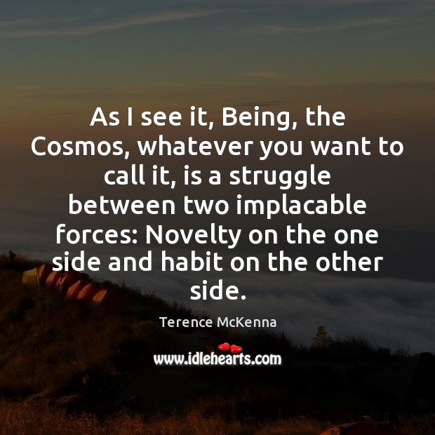 As I see it, Being, the Cosmos, whatever you want to call Terence McKenna Picture Quote