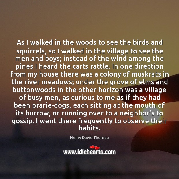 As I walked in the woods to see the birds and squirrels, Henry David Thoreau Picture Quote