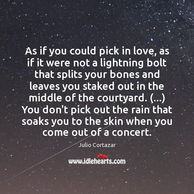 As if you could pick in love, as if it were not Image