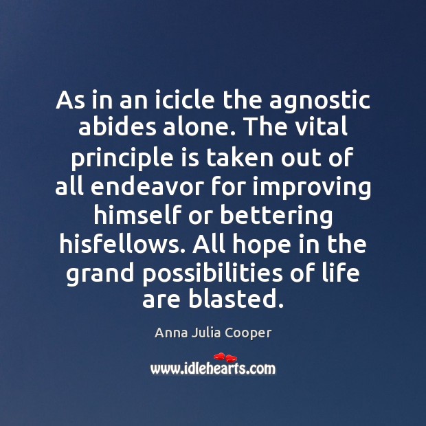 As in an icicle the agnostic abides alone. The vital principle is Anna Julia Cooper Picture Quote