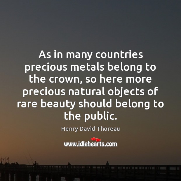 As in many countries precious metals belong to the crown, so here Henry David Thoreau Picture Quote
