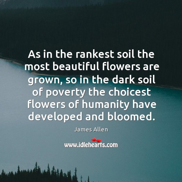 As in the rankest soil the most beautiful flowers are grown Image