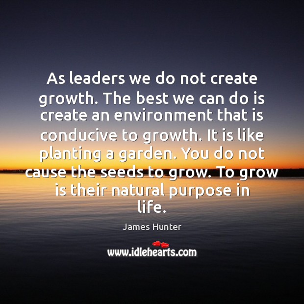 As leaders we do not create growth. The best we can do Image