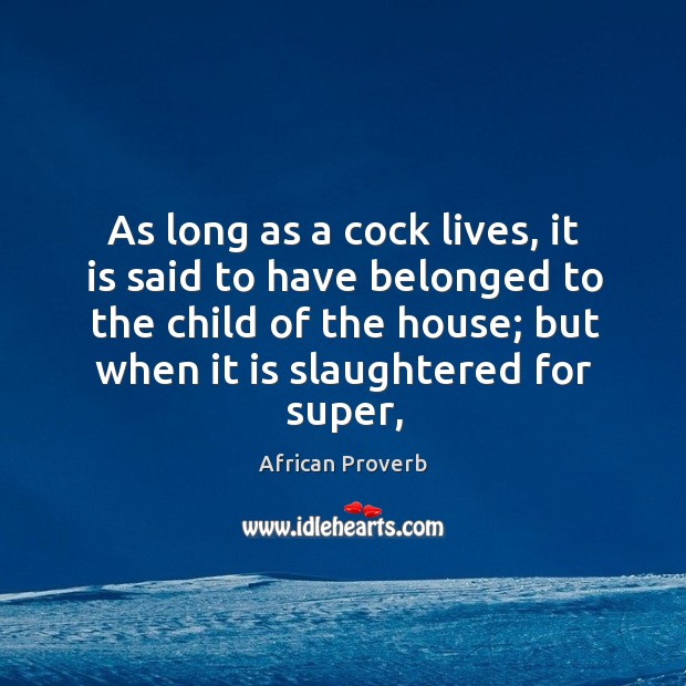 As long as a cock lives, it is said to have belonged to the child African Proverbs Image