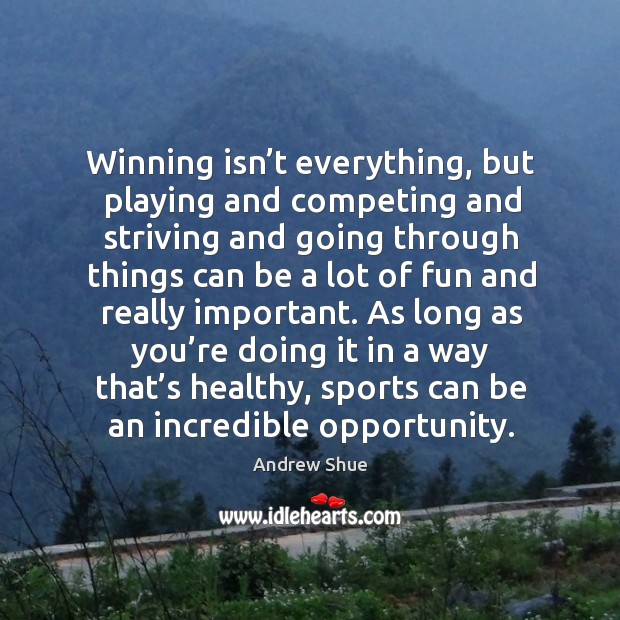 As long as you’re doing it in a way that’s healthy, sports can be an incredible opportunity. Andrew Shue Picture Quote