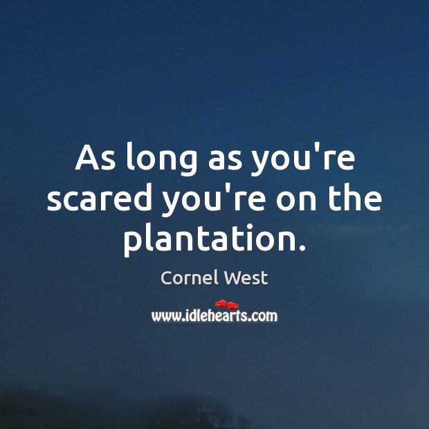 As long as you’re scared you’re on the plantation. Cornel West Picture Quote