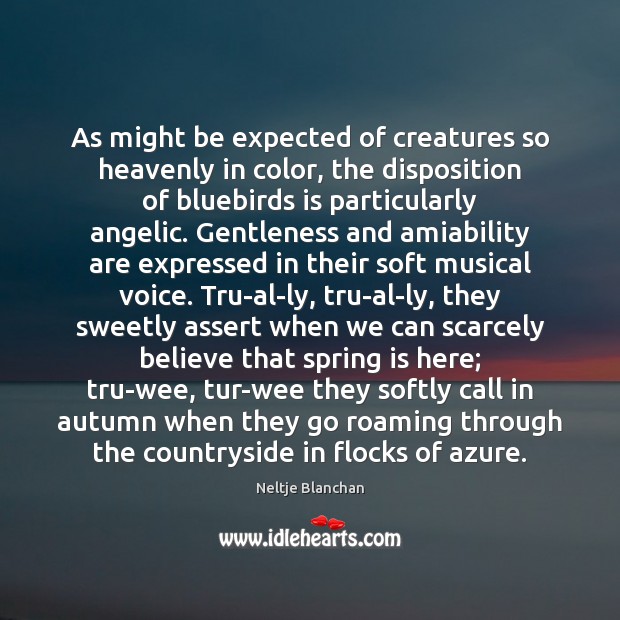 As might be expected of creatures so heavenly in color, the disposition Neltje Blanchan Picture Quote
