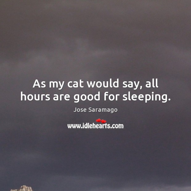 As my cat would say, all hours are good for sleeping. Jose Saramago Picture Quote