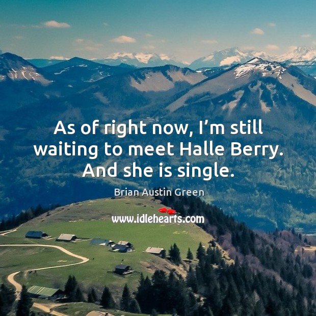As of right now, I’m still waiting to meet halle berry. And she is single. Brian Austin Green Picture Quote