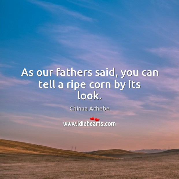 As our fathers said, you can tell a ripe corn by its look. Chinua Achebe Picture Quote