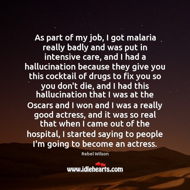 As part of my job, I got malaria really badly and was Rebel Wilson Picture Quote