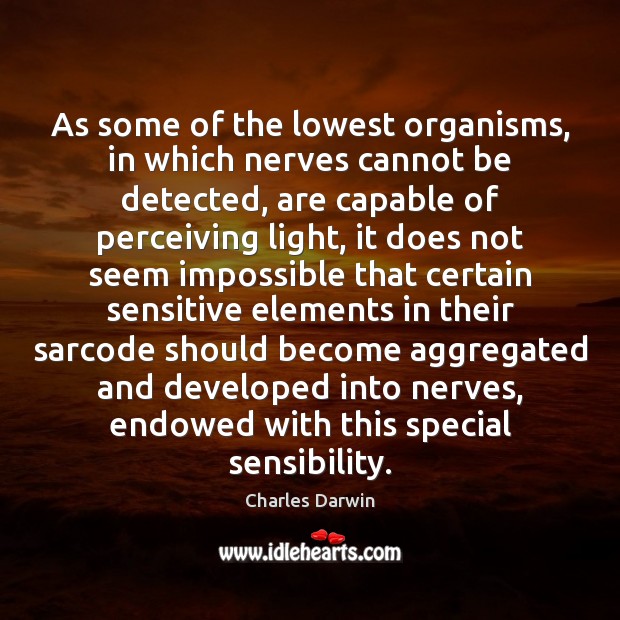 As some of the lowest organisms, in which nerves cannot be detected, Charles Darwin Picture Quote