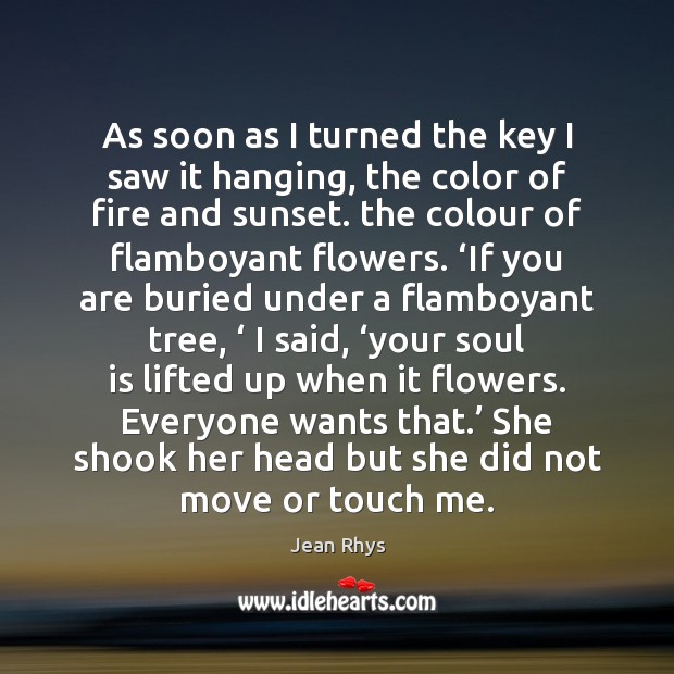 As soon as I turned the key I saw it hanging, the Soul Quotes Image