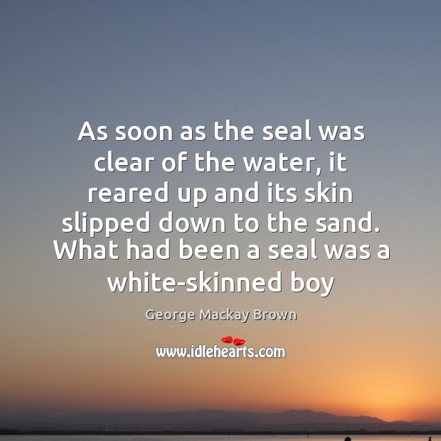 As soon as the seal was clear of the water, it reared George Mackay Brown Picture Quote