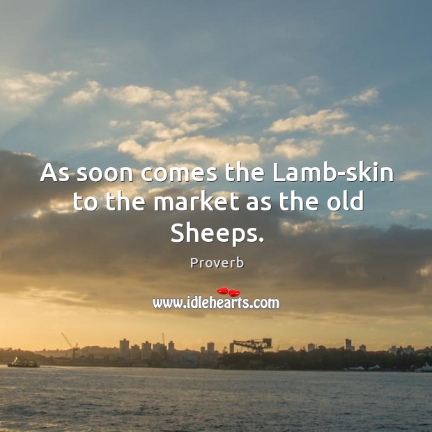 As soon comes the lamb-skin to the market as the old sheeps. Image
