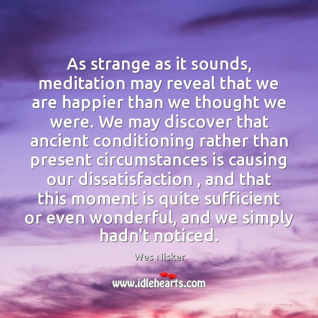 As strange as it sounds, meditation may reveal that we are happier Wes Nisker Picture Quote