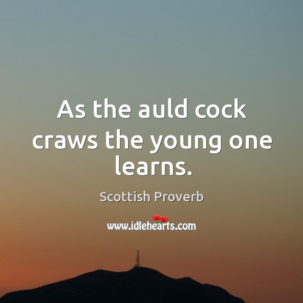 As the auld cock craws the young one learns. Image