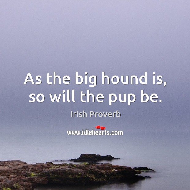 As the big hound is, so will the pup be. Image