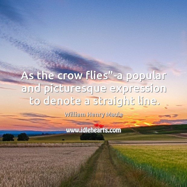 As the crow flies”-a popular and picturesque expression to denote a straight line. William Henry Maule Picture Quote