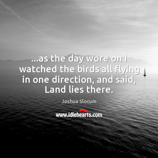 …as the day wore on I watched the birds all flying in Joshua Slocum Picture Quote