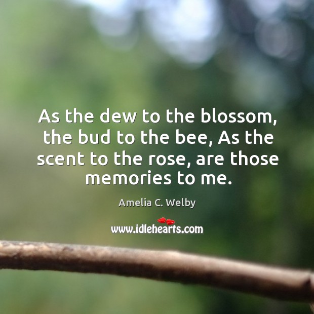 As the dew to the blossom, the bud to the bee, as the scent to the rose, are those memories to me. Image