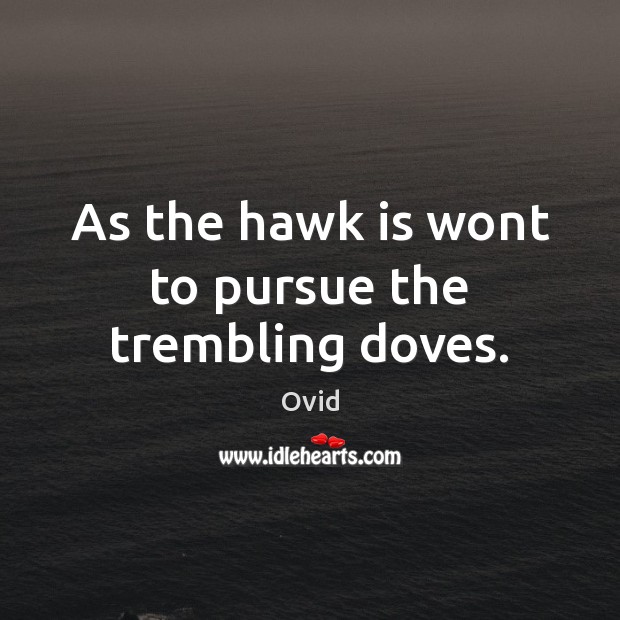 As the hawk is wont to pursue the trembling doves. Ovid Picture Quote