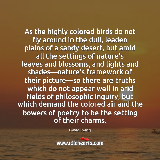 As the highly colored birds do not fly around in the dull, David Swing Picture Quote