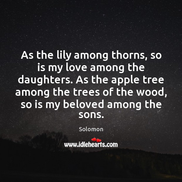 As the lily among thorns, so is my love among the daughters. Solomon Picture Quote