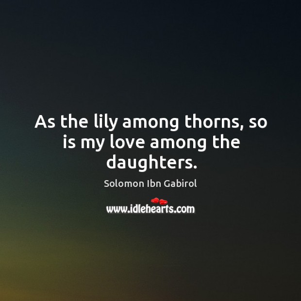 As the lily among thorns, so is my love among the daughters. Solomon Ibn Gabirol Picture Quote