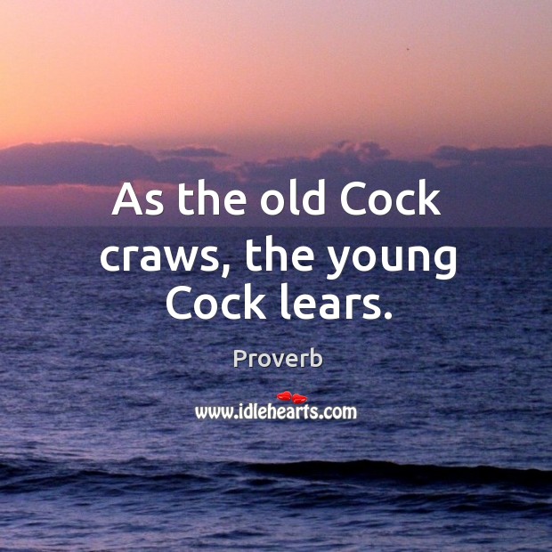 As the old cock craws, the young cock lears. Image