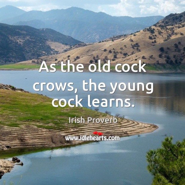 As the old cock crows, the young cock learns. Irish Proverbs Image
