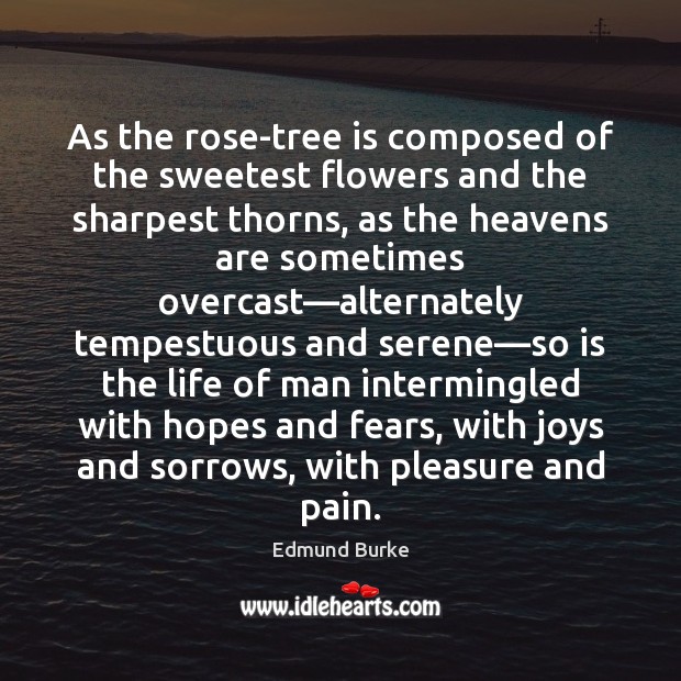 As the rose-tree is composed of the sweetest flowers and the sharpest Edmund Burke Picture Quote