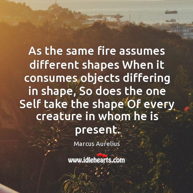 As the same fire assumes different shapes When it consumes objects differing Image