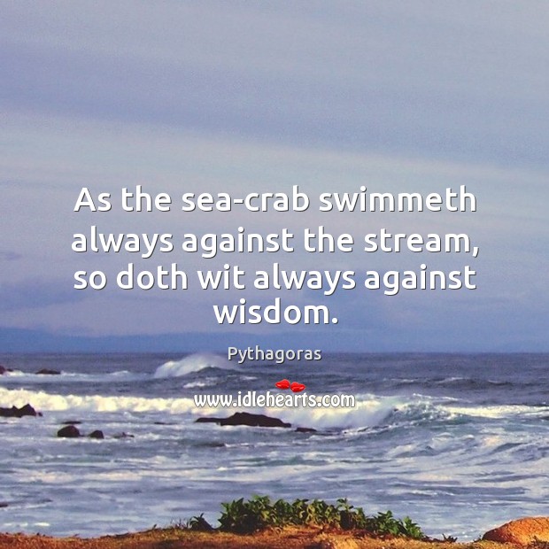 As the sea-crab swimmeth always against the stream, so doth wit always against wisdom. Image
