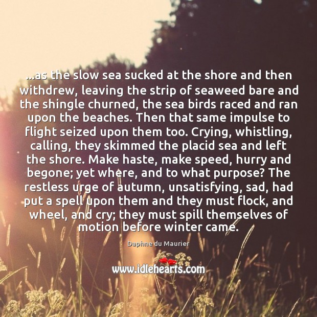 …as the slow sea sucked at the shore and then withdrew, leaving Daphne du Maurier Picture Quote