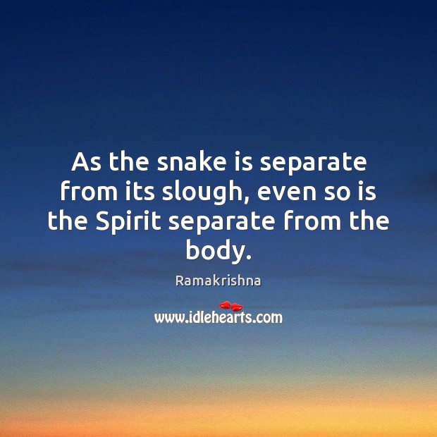 As the snake is separate from its slough, even so is the Spirit separate from the body. Image