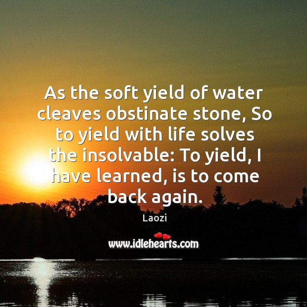 As the soft yield of water cleaves obstinate stone, so to yield with life solves the insolvable Laozi Picture Quote