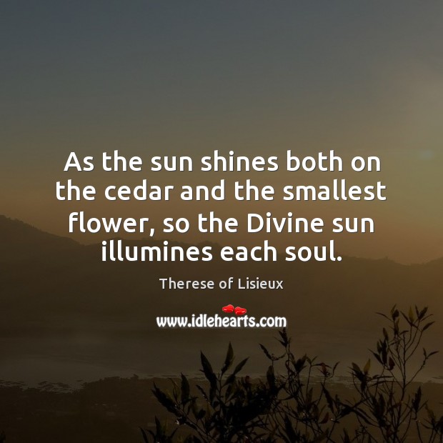 As the sun shines both on the cedar and the smallest flower, Therese of Lisieux Picture Quote