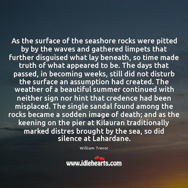 As the surface of the seashore rocks were pitted by by the William Trevor Picture Quote