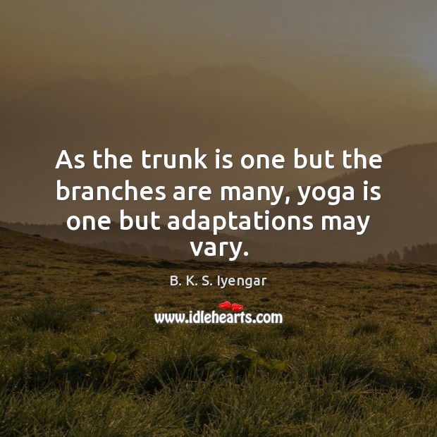 As the trunk is one but the branches are many, yoga is one but adaptations may vary. B. K. S. Iyengar Picture Quote