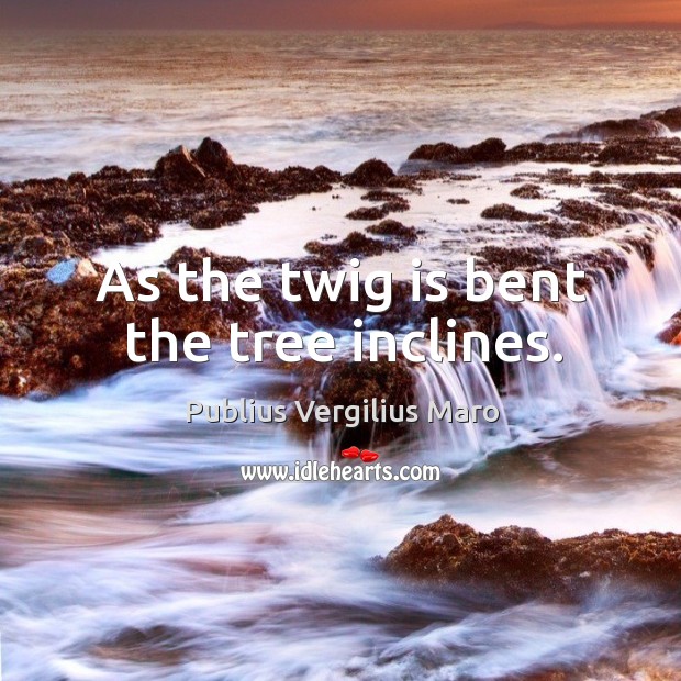 As the twig is bent the tree inclines. Publius Vergilius Maro Picture Quote