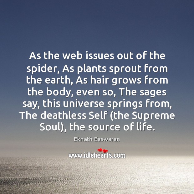 As the web issues out of the spider, As plants sprout from Eknath Easwaran Picture Quote