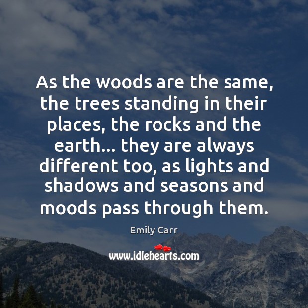 As the woods are the same, the trees standing in their places, Image